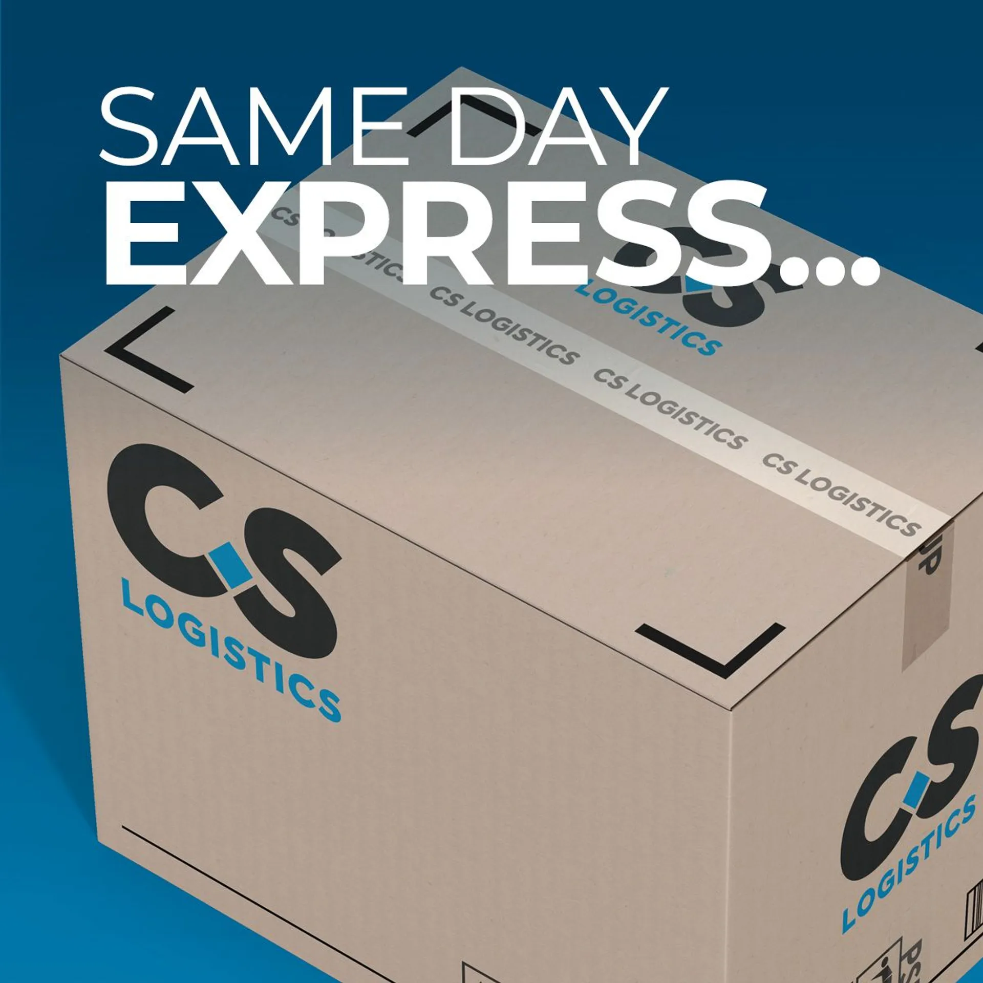 CS Logistics branded box — same day express delivery
